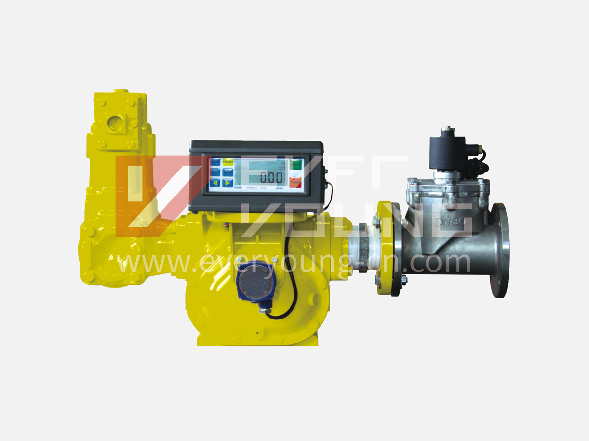 M Series Positive Displacement Flow Meter