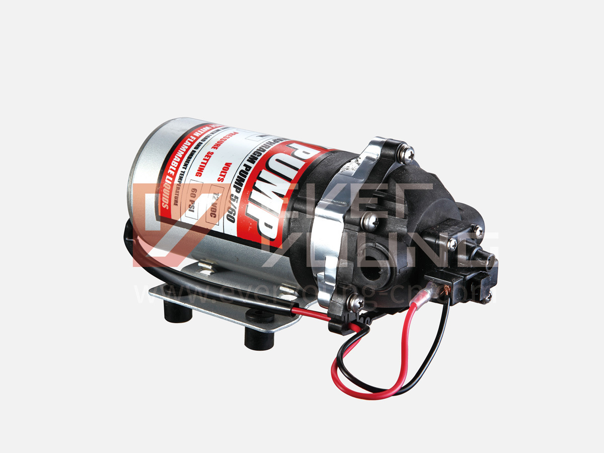 Diaphragm Pump