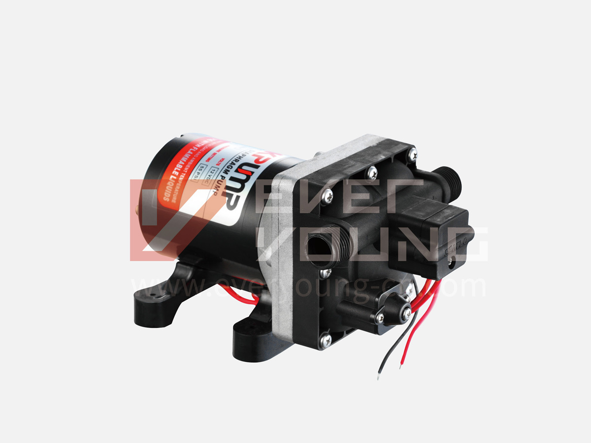 Diaphragm Pump