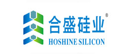 合盛硅业股份有限公司