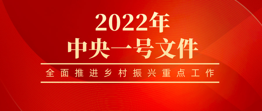 Policy | No. 1 central document in 2022