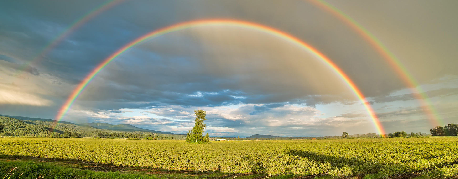 Builders of Beautiful Countryside and Practitioners of High Quality Agricultural Development