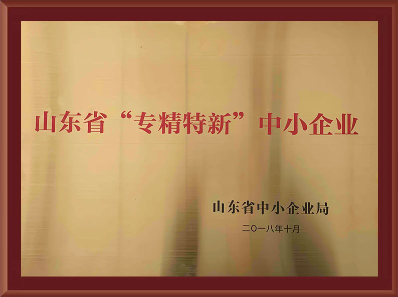 Shandong Province “Specialized and New” Small and Medium Enterprises Shandong Province “Specialized and New” Small and Medium Enterprises
