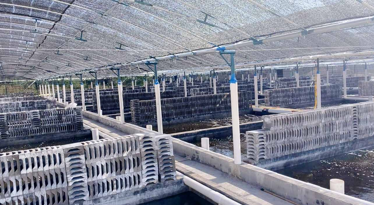 Technology Cultivation Technology Cultivation