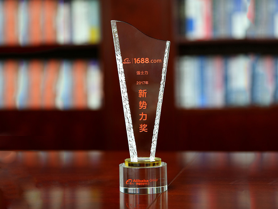 2017年新勢力獎(jiǎng)