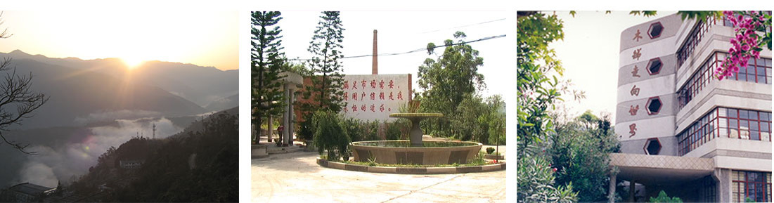 阻燃母料行业方案