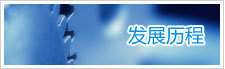 发展历程