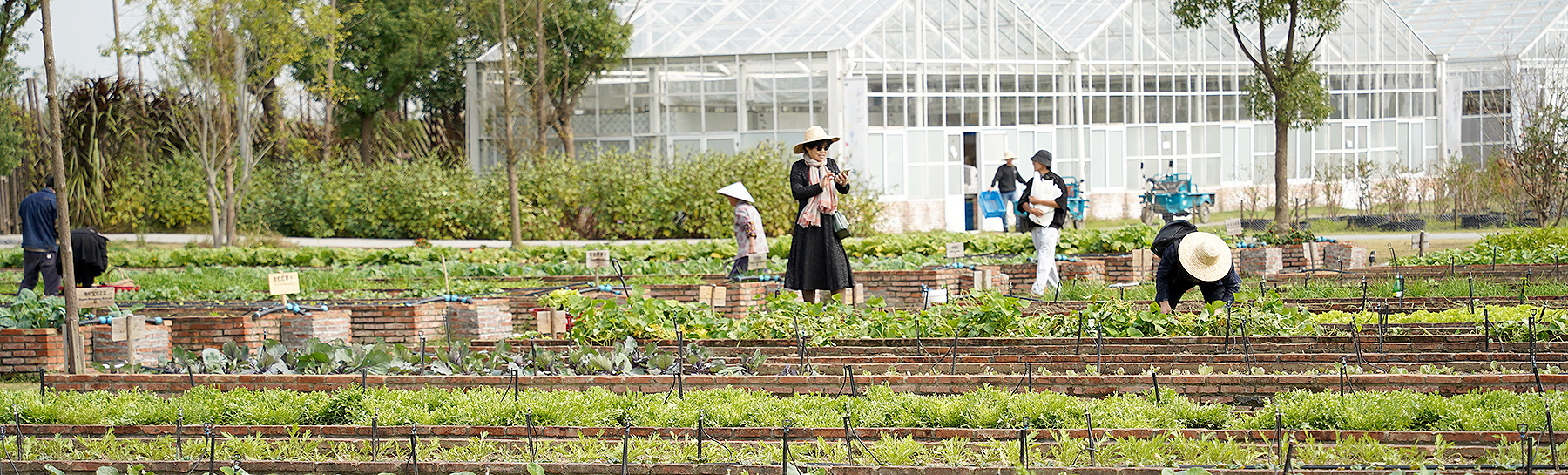 Xi Tang Natural Farm, Jiaxing
