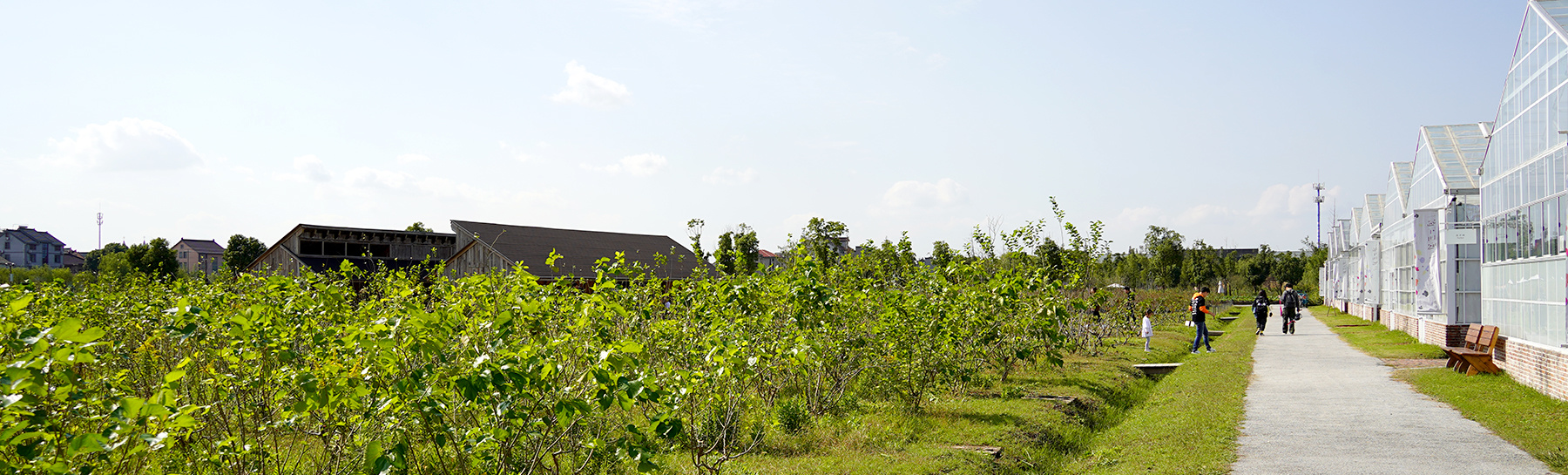 Xi Tang Natural Farm, Jiaxing