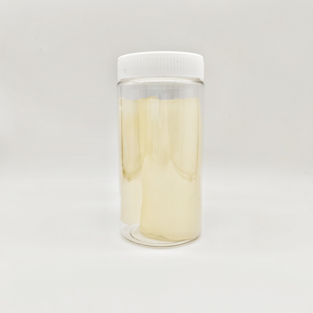 TY2308 PUR Reactive Heat-melting Adhesive