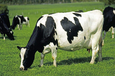 News of Raw Milk Quality Inspection Company