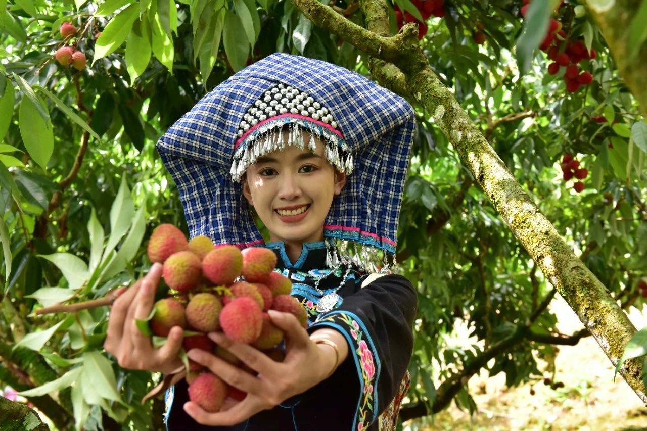 野菜及水果