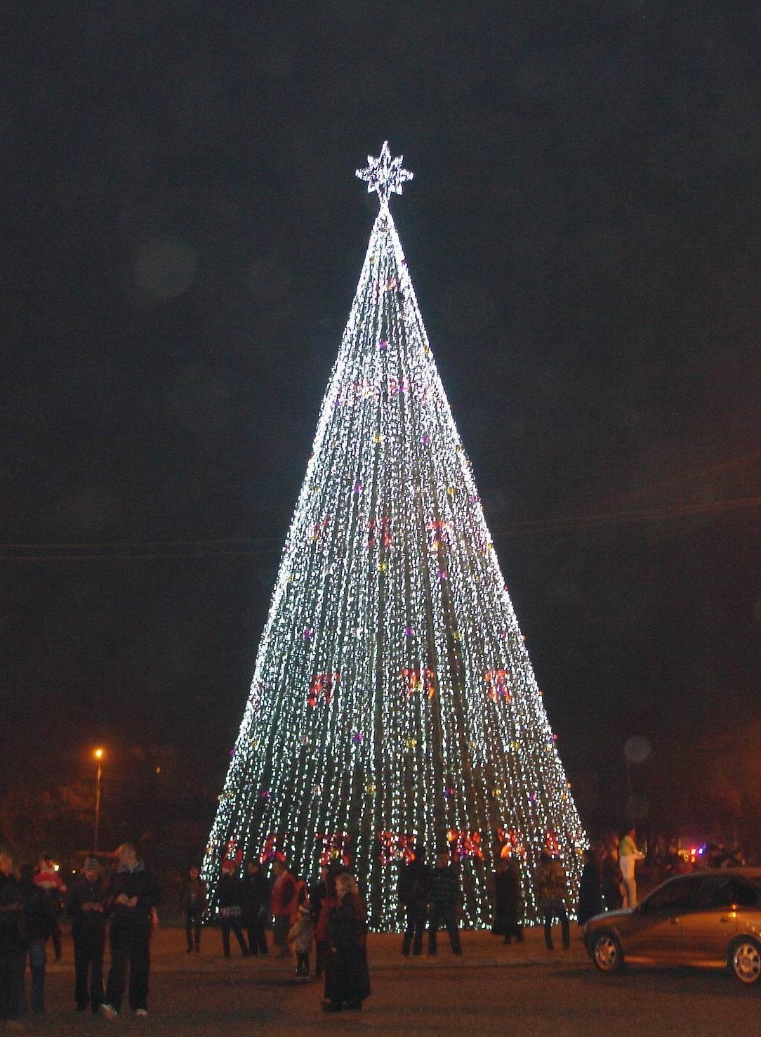 20M Xmas tree -Georgia