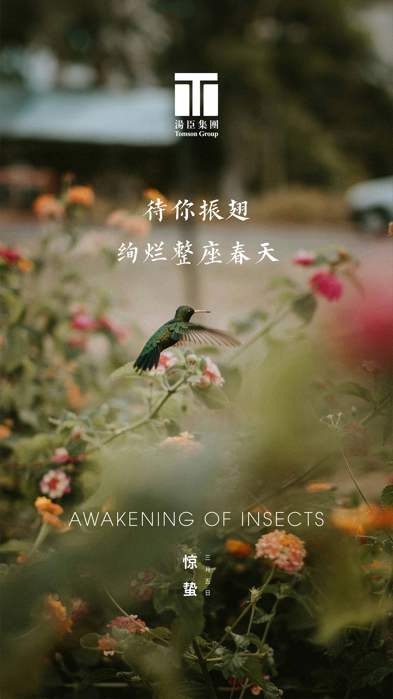 惊蛰