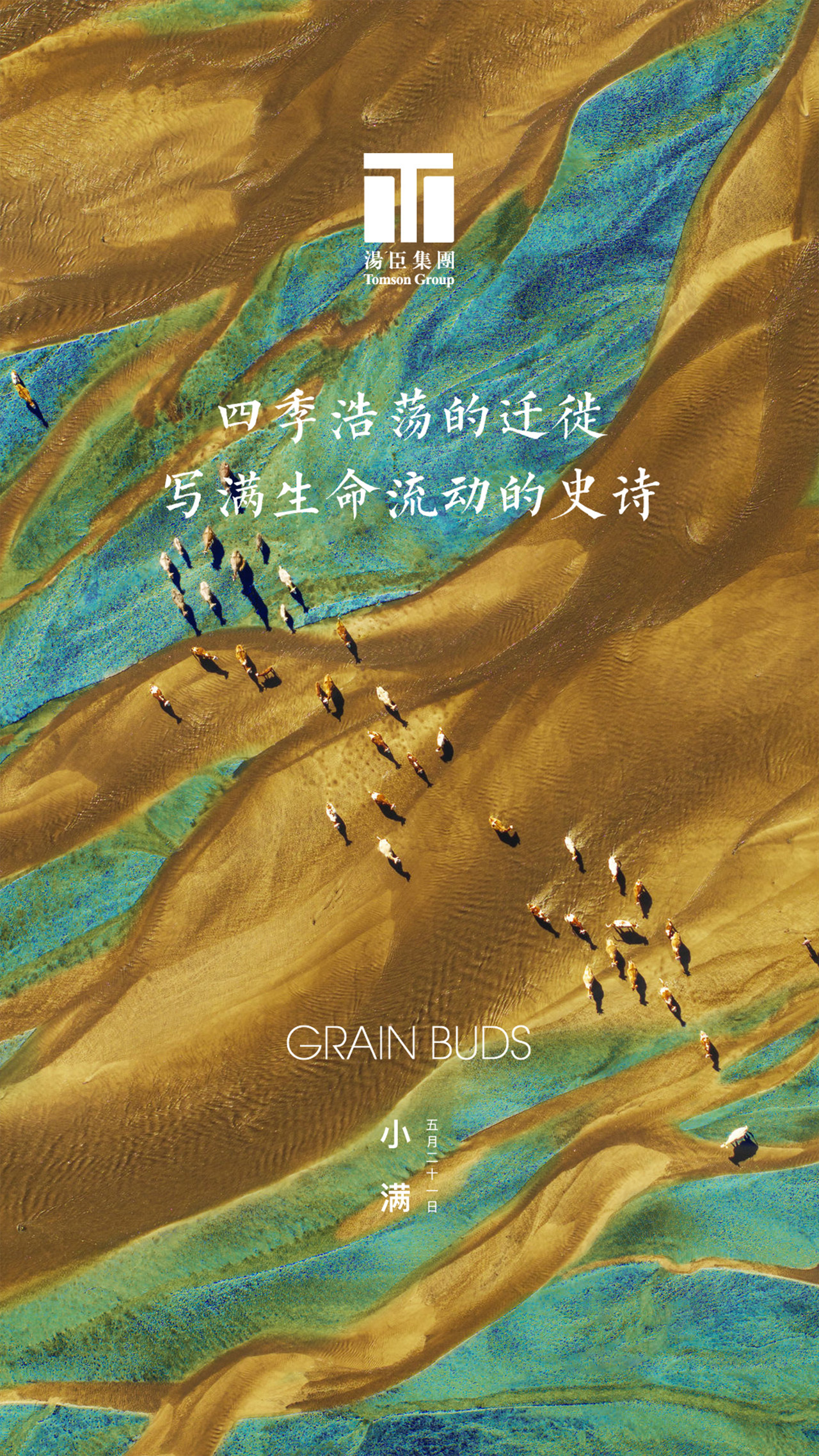 小满