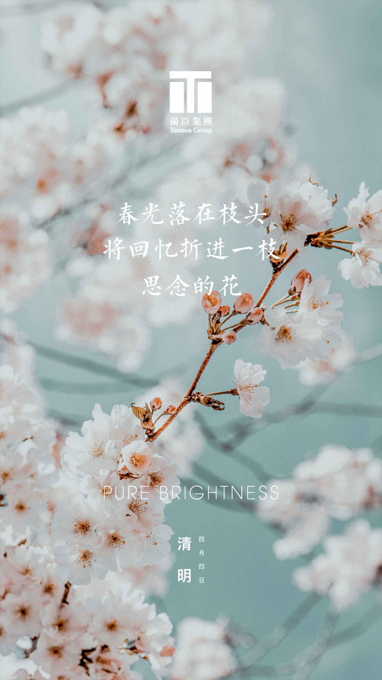 清明节