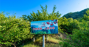 Zhongjing Agriculture Zhongjing Agriculture
