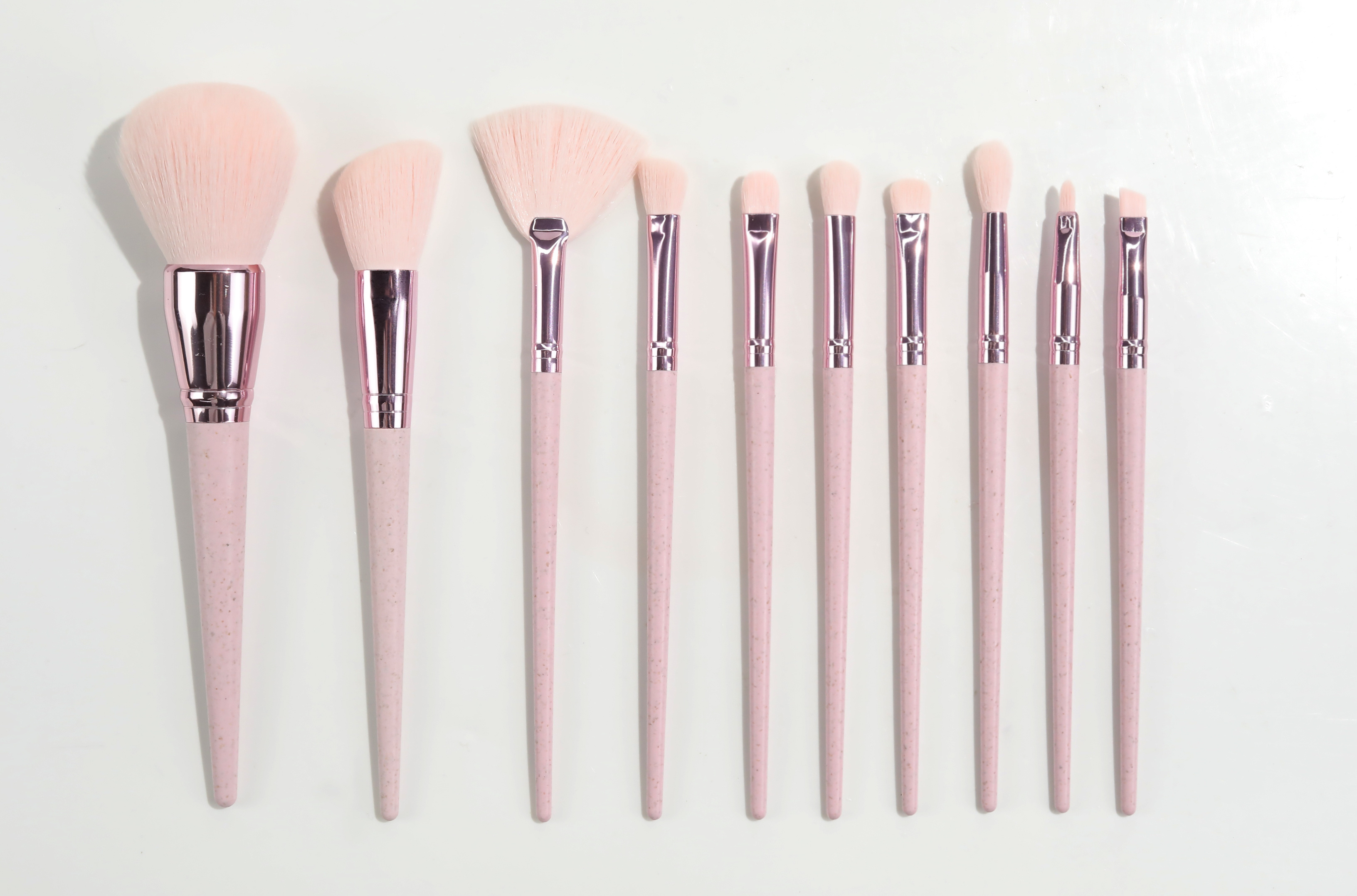 10PC Biodegradable Makeup Brushes