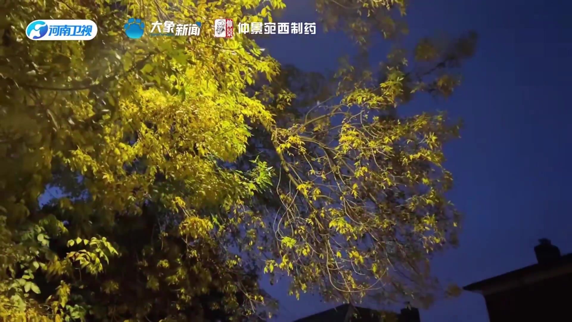 冬至奇遇记.mp4