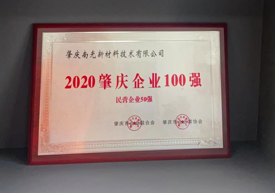 2020肇庆企业100强