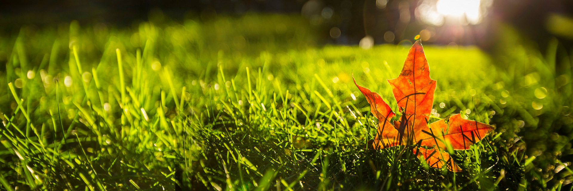 Sustainable Development/ESG