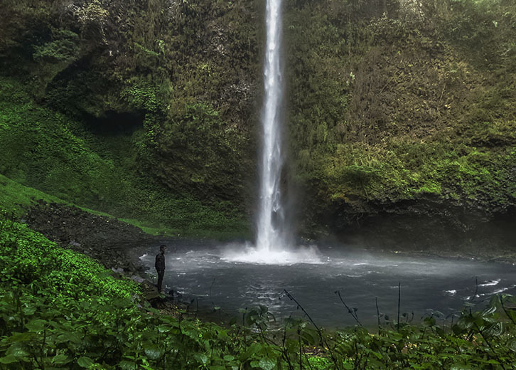 Drip Falls Drip Falls