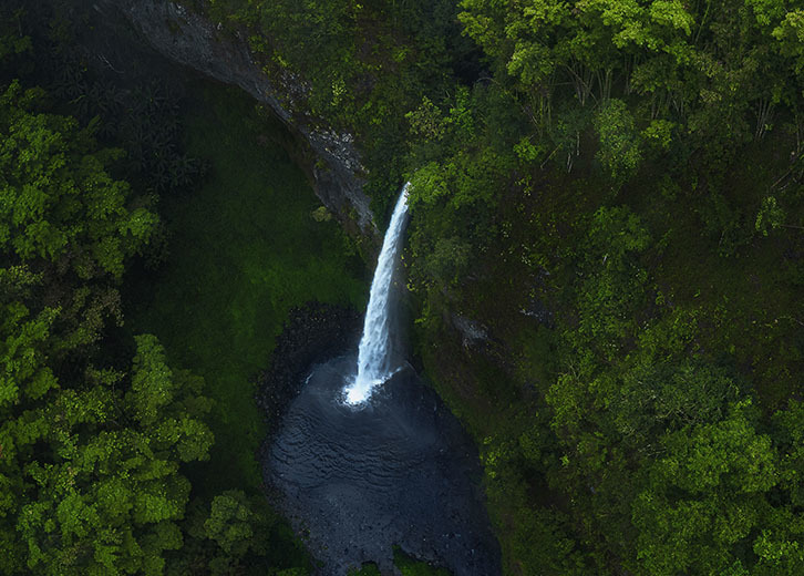 Drip Falls Drip Falls