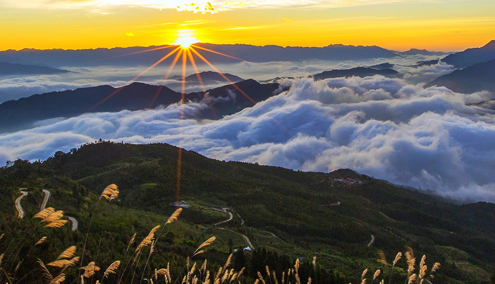 Dawei Mountain National Forest Park