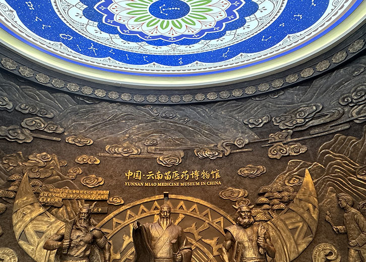 Drip Miao City-Yunnan Miao Medicine Museum Drip Miao City-Yunnan Miao Medicine Museum