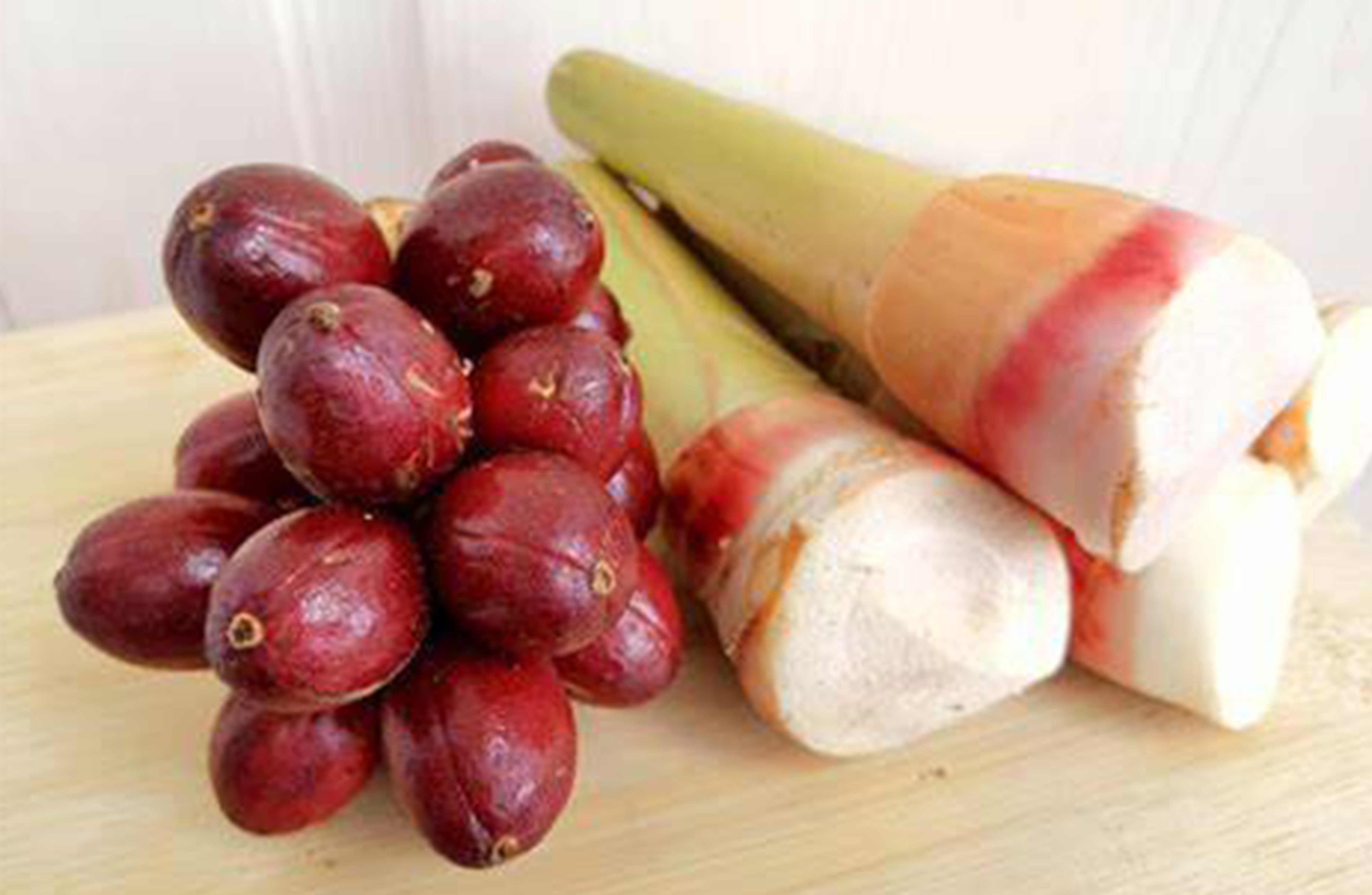 Aso fruit bud