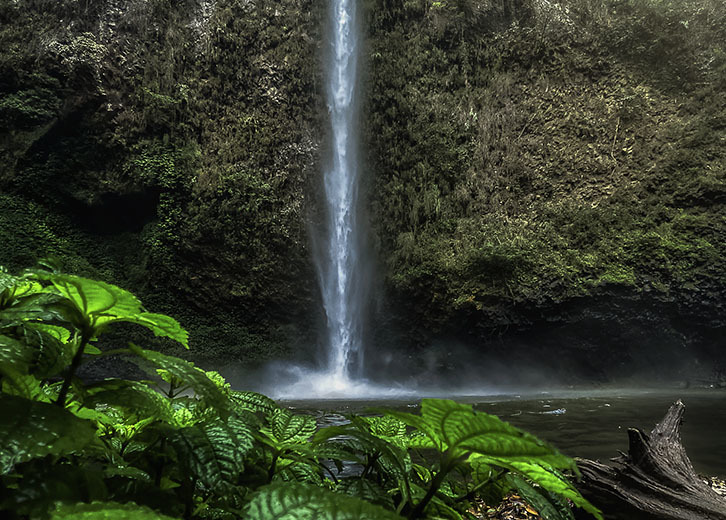 Drip Falls Drip Falls