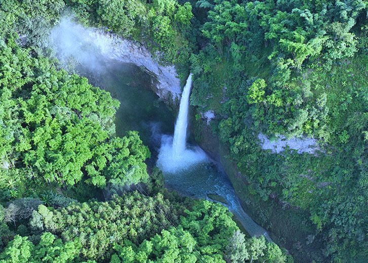 Drip Falls Drip Falls