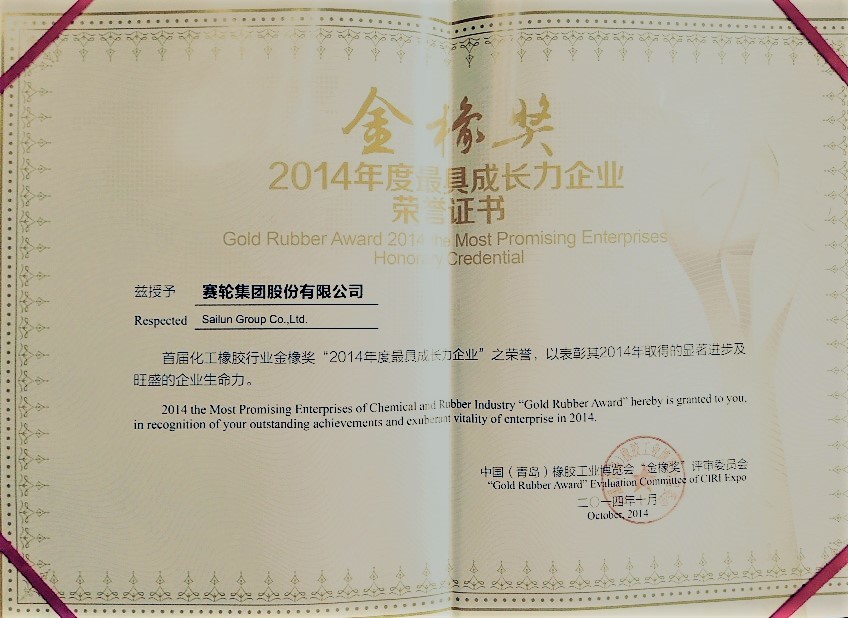 Gold Rubber Award 2014 the Most Promising Enterprises Honorary Credential