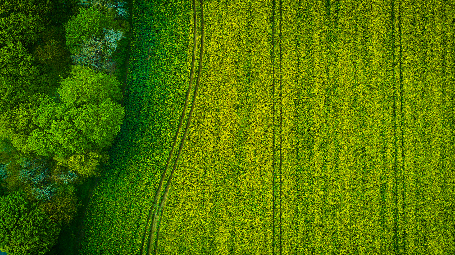Technology leads green and low-carbon development