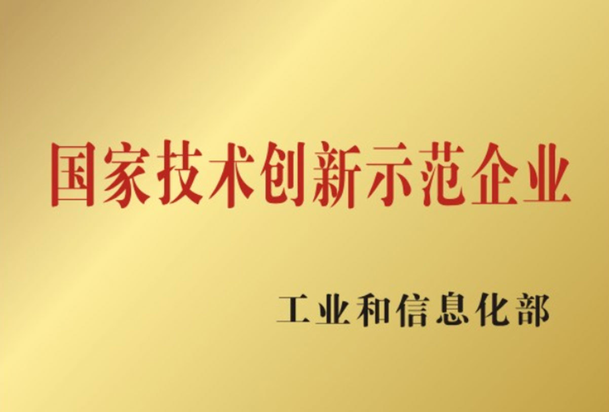 國家技術(shù)創(chuàng)新示范企業(yè)