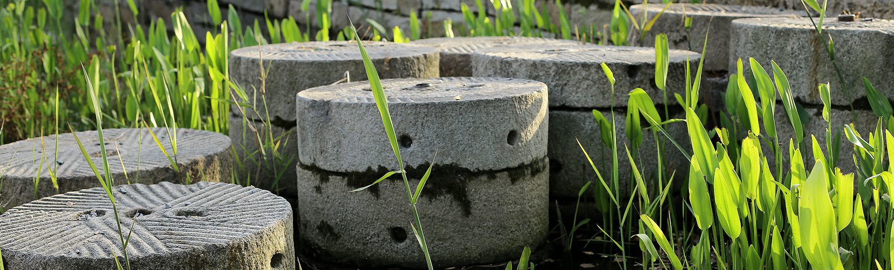 上海-松江廣富林遺址公園