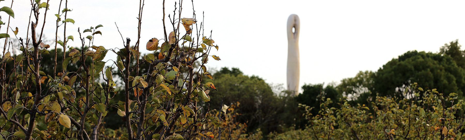 上海-松江廣富林遺址公園