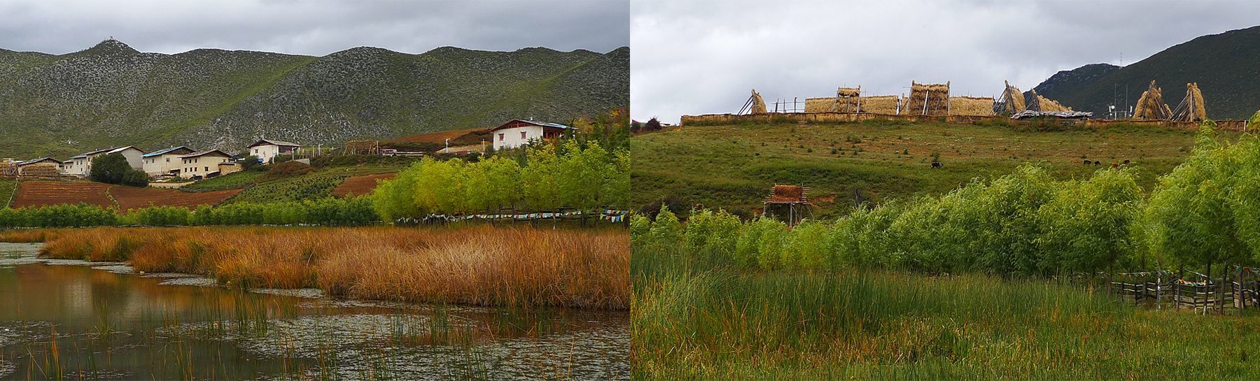 云南-香格里拉松贊林寺廣場+拉姆雅措湖岸