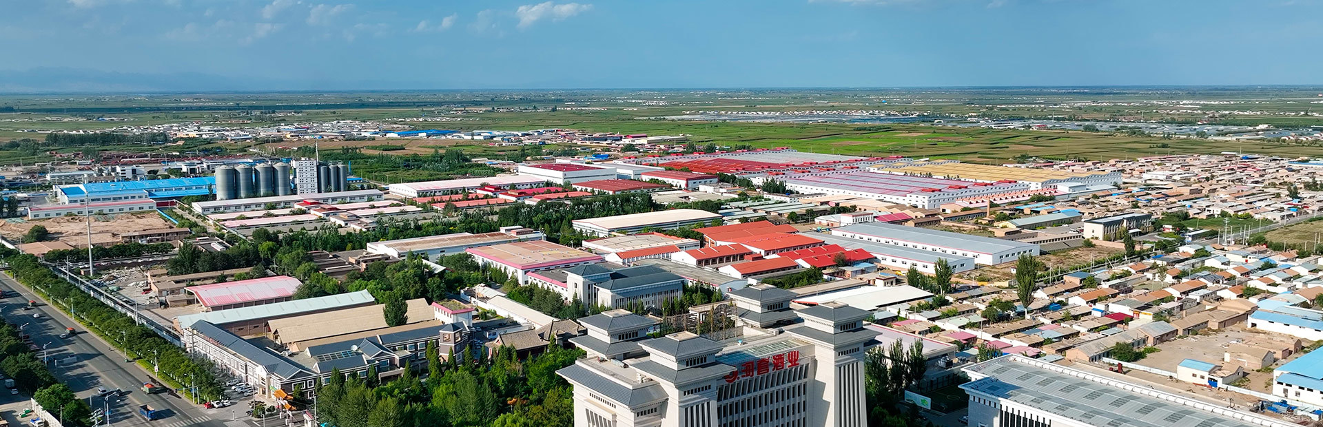 Company Profile