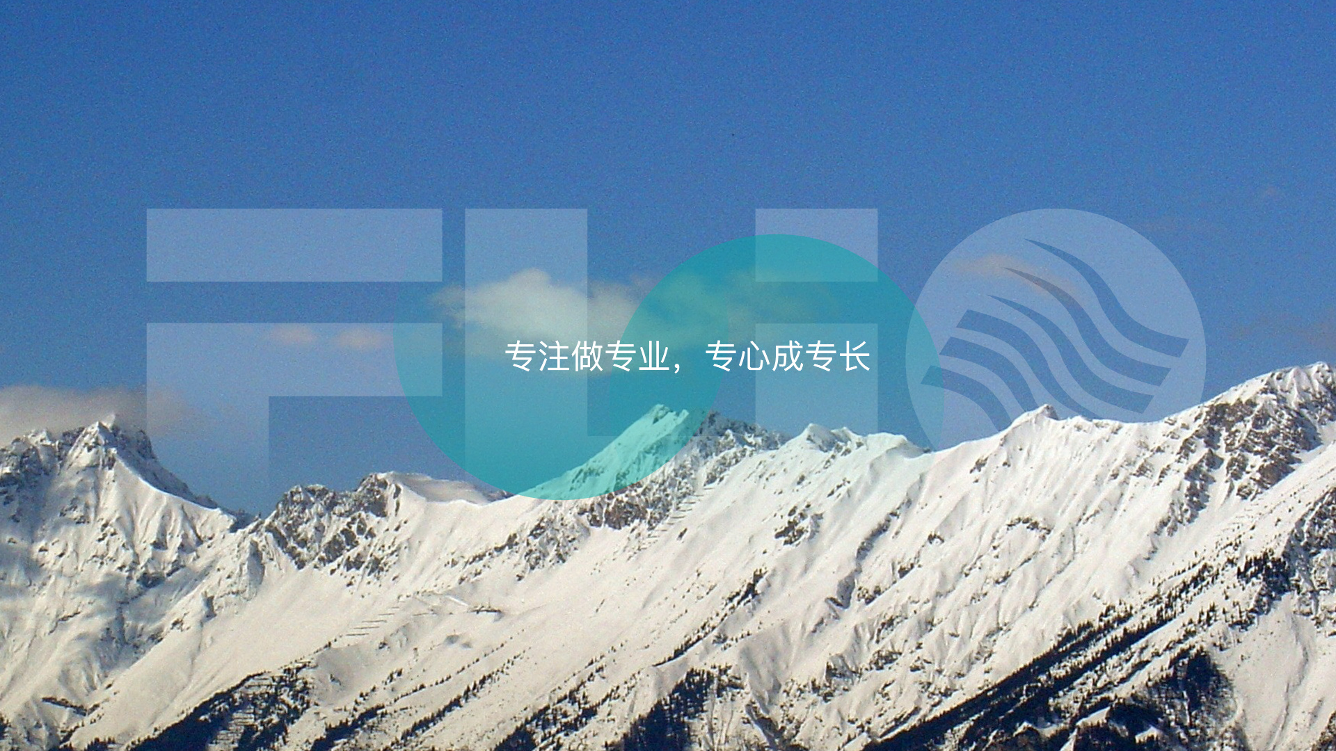 专注做专业，专心做专长