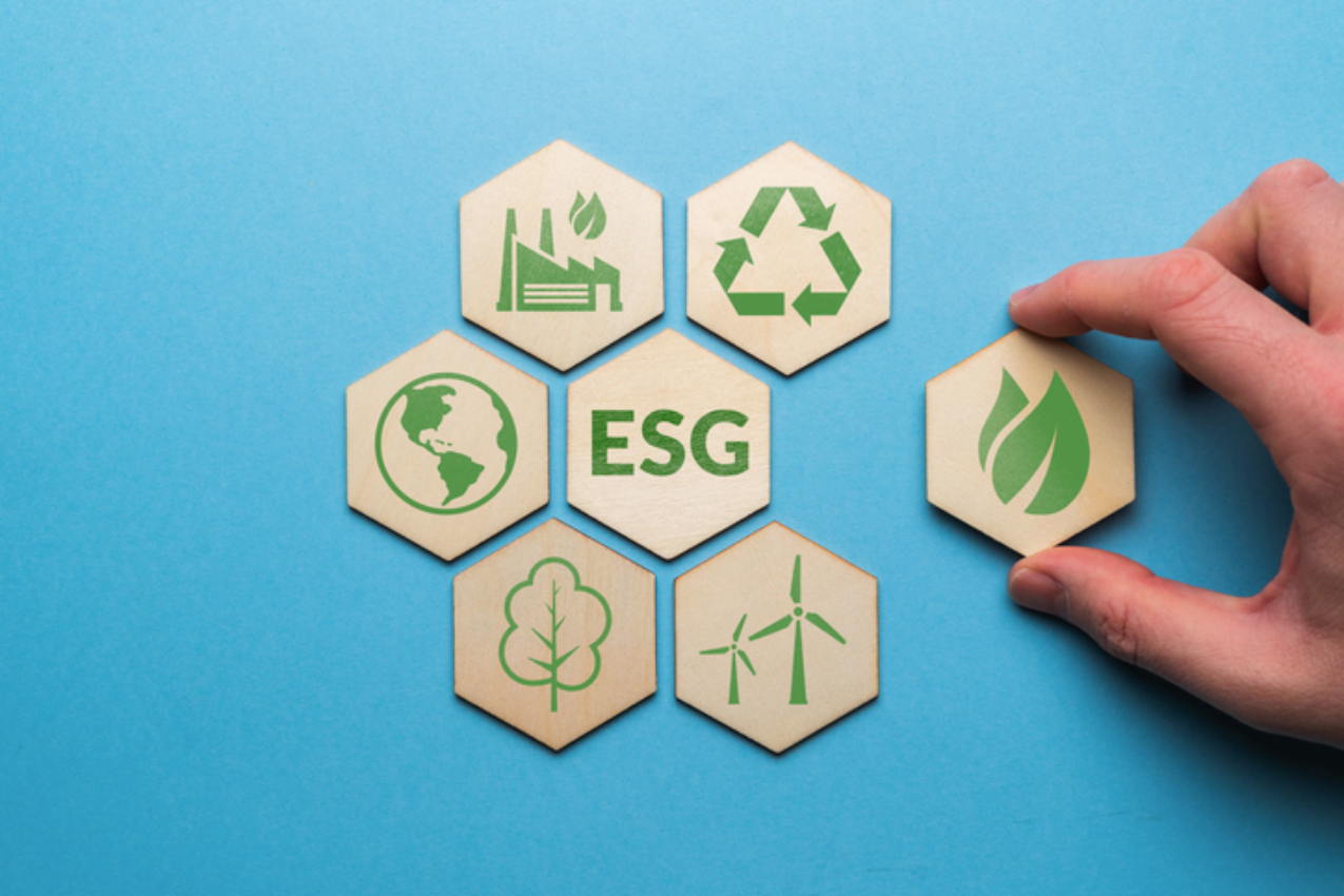Sustainability