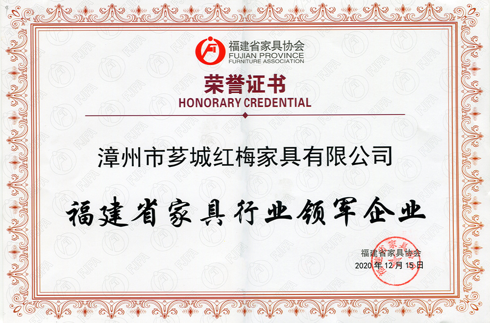 Fujian Province furniture industry leader Xiang Cheng Hongmei 20201215 Fujian Province furniture industry leader Xiang Cheng Hongmei 20201215
