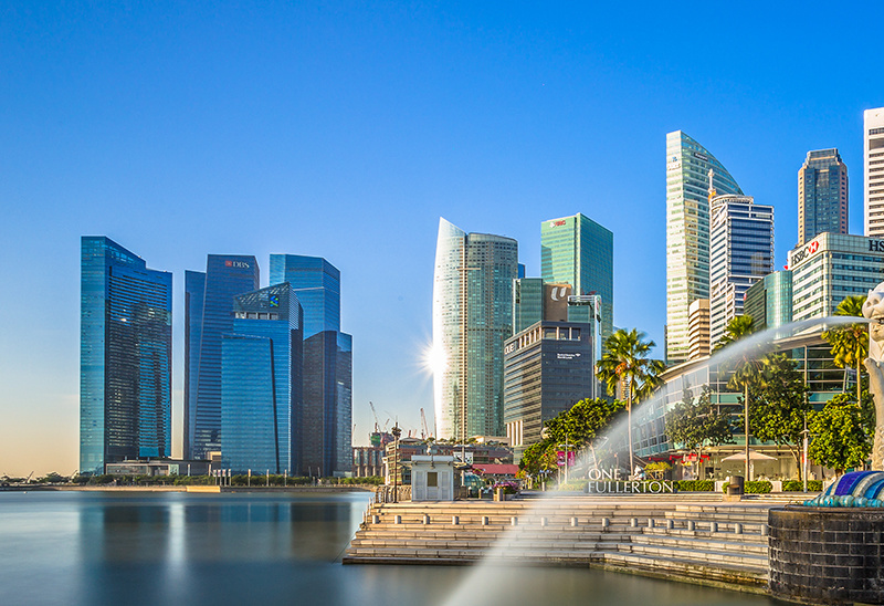 公司愿景 公司愿景