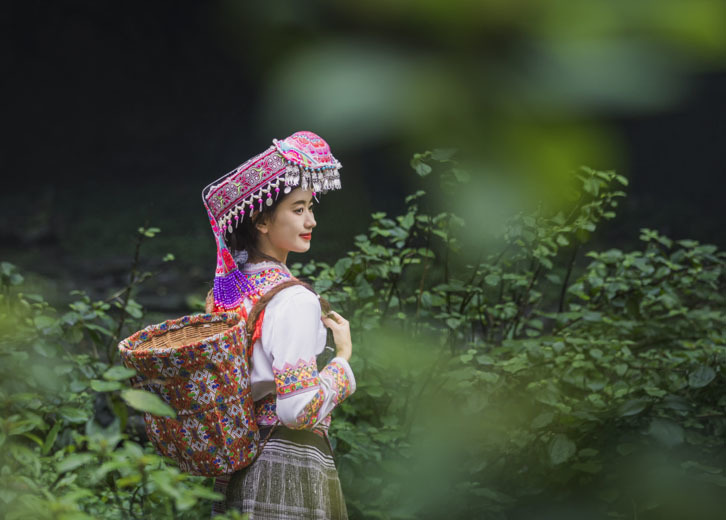 Công viên rừng quốc gia núi Dawei Công viên rừng quốc gia núi Dawei