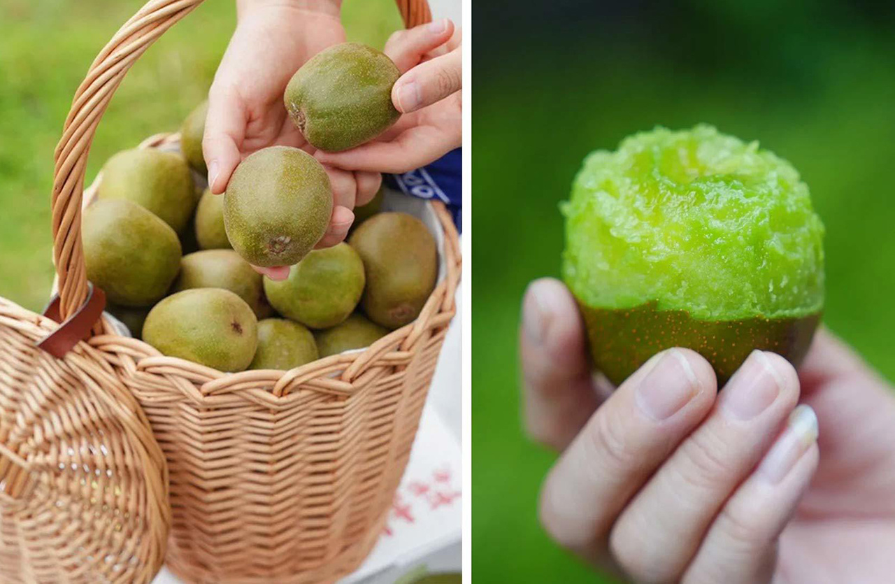Trái tim đỏ kiwi