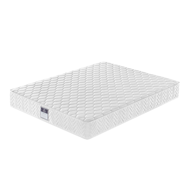 Sleep Mattress