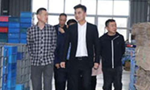 合肥高新区管委会副主任刘亚迅等来集团公司调研考察工作