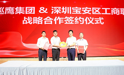 巡鹰集团携手深圳市宝安区工商联打造城企新能源合作新典范