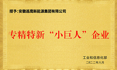 专精特新“小巨人”企业 专精特新“小巨人”企业
