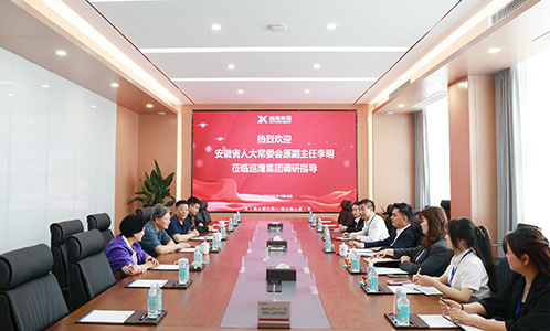 安徽省人大常委会原副主任李明莅临巡鹰集团调研指导